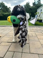 Squeaky Duck Snuffle Mat for Dogs – 2-in-1 Toy & Foraging Fun