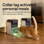 Automatic Dog Cat Feeder Personalized Meals Programmable Food Dispenser Cat Recognition Diet Tracking Multi-Pet Households