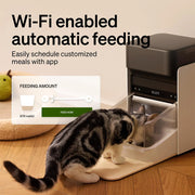 Automatic Dog Cat Feeder Personalized Meals Programmable Food Dispenser Cat Recognition Diet Tracking Multi-Pet Households