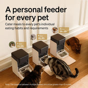 Automatic Dog Cat Feeder Personalized Meals Programmable Food Dispenser Cat Recognition Diet Tracking Multi-Pet Households