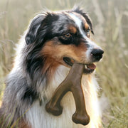 Dog Toys Nylon Durable Artificial Bones Chew Toy for Medium Large Dogs Puppy Teeth Grinding Stick Chewing Bite Resistant Toys