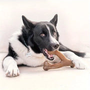 Dog Toys Nylon Durable Artificial Bones Chew Toy for Medium Large Dogs Puppy Teeth Grinding Stick Chewing Bite Resistant Toys