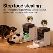 Automatic Dog Cat Feeder Personalized Meals Programmable Food Dispenser Cat Recognition Diet Tracking Multi-Pet Households
