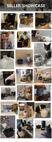 Automatic Dog Cat Feeder Personalized Meals Programmable Food Dispenser Cat Recognition Diet Tracking Multi-Pet Households
