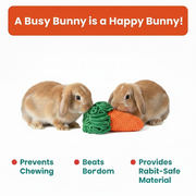 Carrot Sniff Toy - Plush Snuffle Mat for Rabbits, Dogs & Small Pets