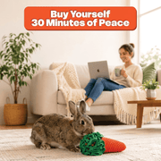 Carrot Sniff Toy - Plush Snuffle Mat for Rabbits, Dogs & Small Pets