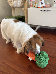 Carrot Sniff Toy - Plush Snuffle Mat for Rabbits, Dogs & Small Pets