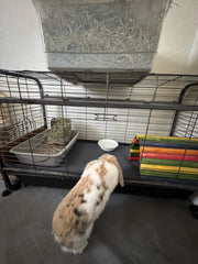 Cut-to-Fit Waterproof Guinea Pig Cage Liner & Rabbit Base- 18