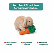 Carrot Sniff Toy - Plush Snuffle Mat for Rabbits, Dogs & Small Pets