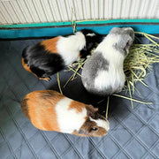 Fleece Liners for Guinea Pigs & Rabbits,  5-Pcs, for Midwest, Gray