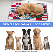 Squeaky Bone Snuffle Mat for Dogs – Interactive Foraging Fun, 24
