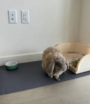 Cut-to-Fit Waterproof Guinea Pig Cage Liner & Rabbit Base- 18