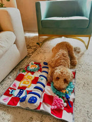 Squeaky Bone Snuffle Mat for Dogs – Interactive Foraging Fun, 24