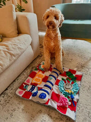 Squeaky Bone Snuffle Mat for Dogs – Interactive Foraging Fun, 24