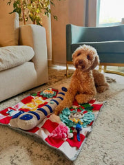 Squeaky Bone Snuffle Mat for Dogs – Interactive Foraging Fun, 24