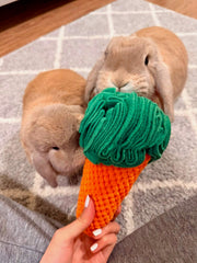 Carrot Sniff Toy - Plush Snuffle Mat for Rabbits, Dogs & Small Pets