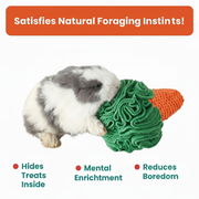Carrot Sniff Toy - Plush Snuffle Mat for Rabbits, Dogs & Small Pets