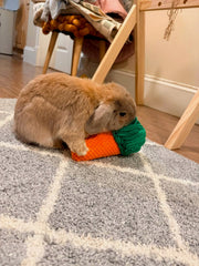 Carrot Sniff Toy - Plush Snuffle Mat for Rabbits, Dogs & Small Pets