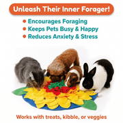 Sunflowerz Snuffle Mat—Soft & Washable- For Dogs, Cats & Rabbits